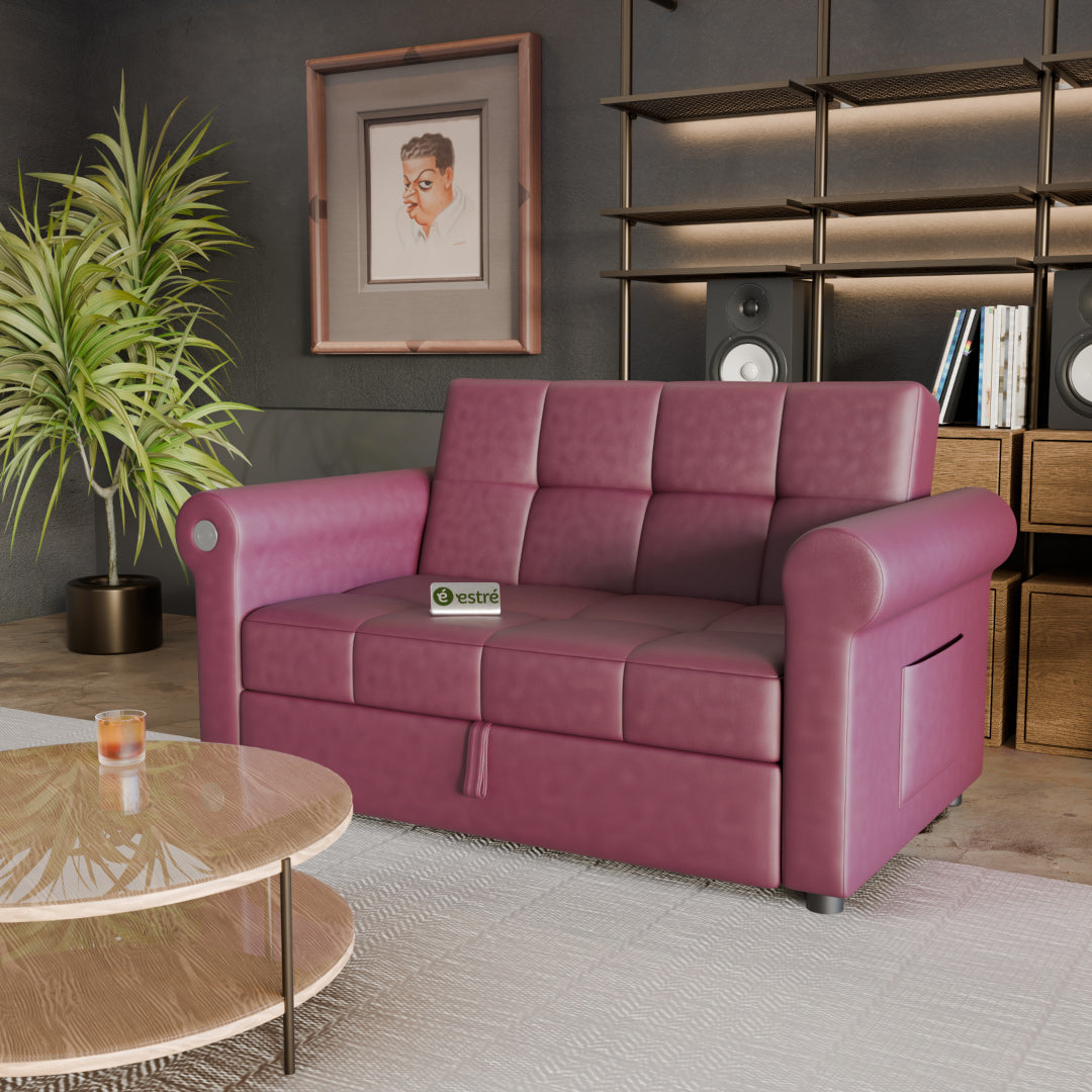 Customizable Dino Sofa cum Bed - Compact, Modern & Versatile for Every Home